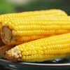 Kukorica jótékony hatásai