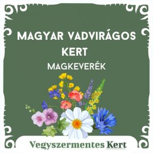 Magyar vadvirágos kert – magkeverék fotók